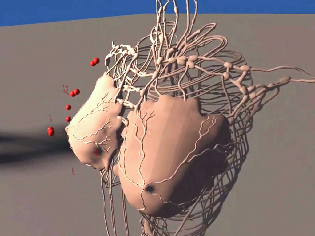 Innenansicht einer Brust in Virtual Reality